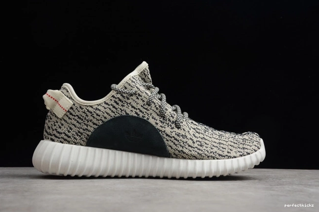 350 Adidas YEEZY Dove AQ4832 Turtle Boost 0709